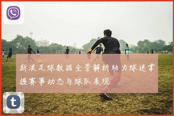 新浪足球数据全景解析助力球迷掌握赛事动态与球队表现