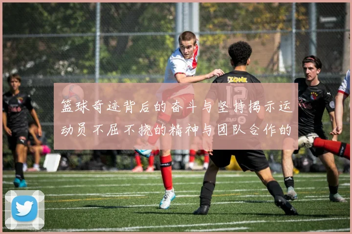 篮球奇迹背后的奋斗与坚持揭示运动员不屈不挠的精神与团队合作的重要性