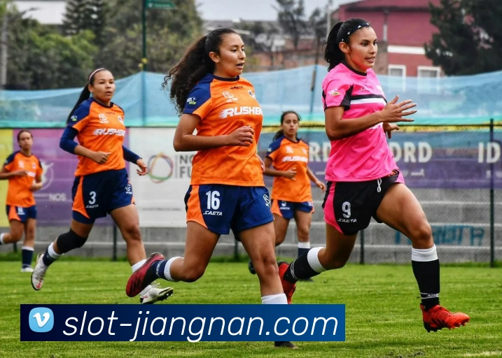 JN SPORTS入口服务体系